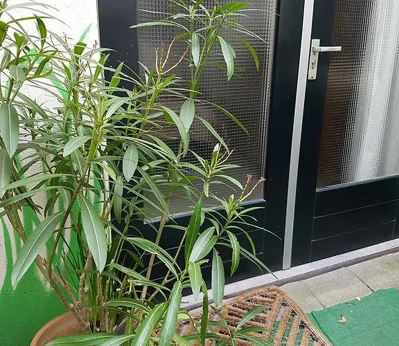 Bed and breakfast Wladimir