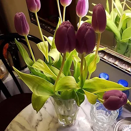 Bed & Breakfast Wladimir Amsterdam