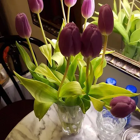 Wladimir Nocleg ze śniadaniem 3*