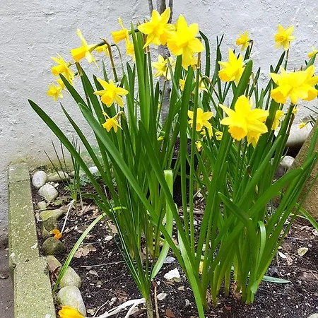 Wladimir Bed & Breakfast Amsterdam