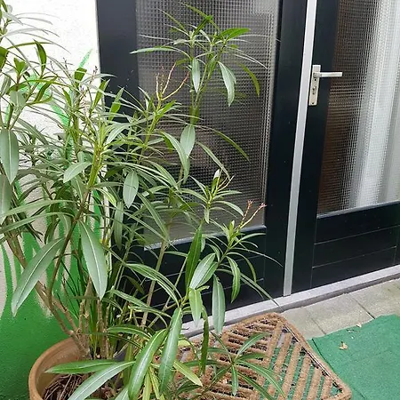 住宿加早餐酒店 B＆b弗拉基米尔影城酒店
